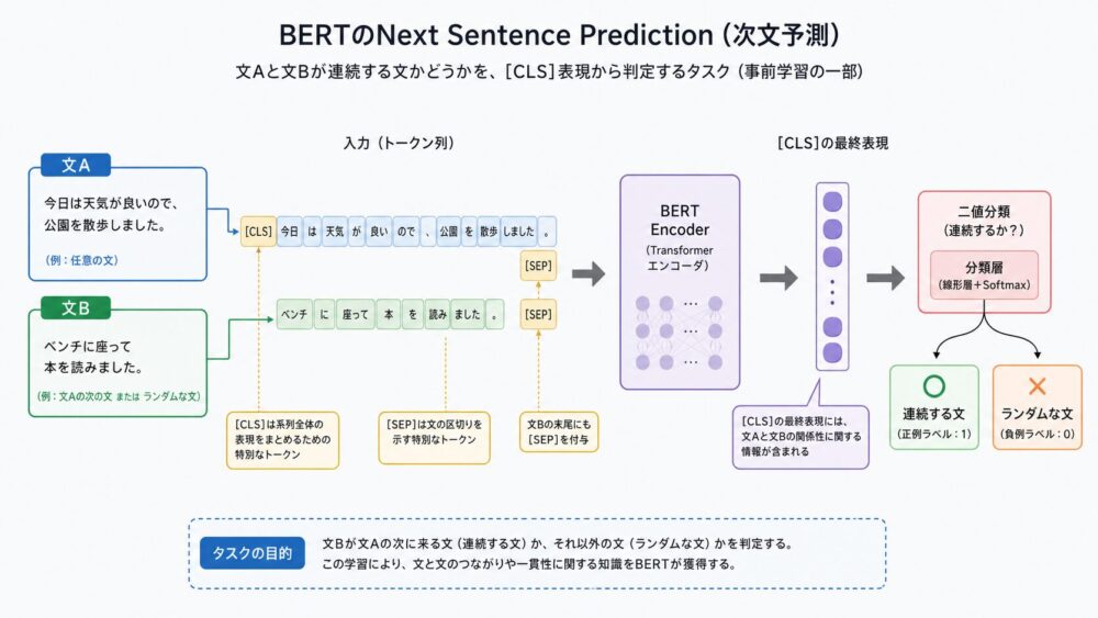 BERTのNext Sentence Predictionで文Aと文Bが連続するかをCLS表現から判定する流れ