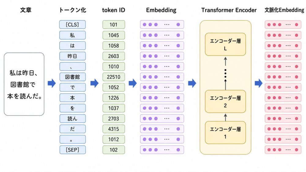 文章がTokenization、token ID、Embedding、Transformer Encoderを通って文脈化Embeddingになる流れ