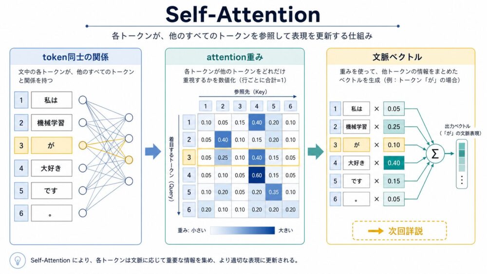 Self-Attentionが文中のtoken同士の関係を重みとして計算する流れ