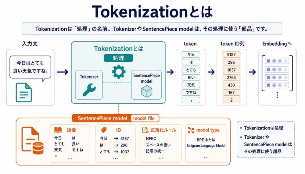 Tokenizationは処理であり、SentencePiece modelはその処理に使う学習済みファイルであることを示す図