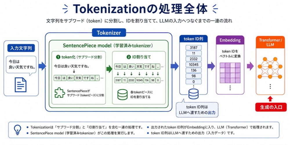 Tokenizerの処理としてSentencePiece modelが文字列をtoken化し、token ID列をEmbeddingとTransformerへ渡す流れ