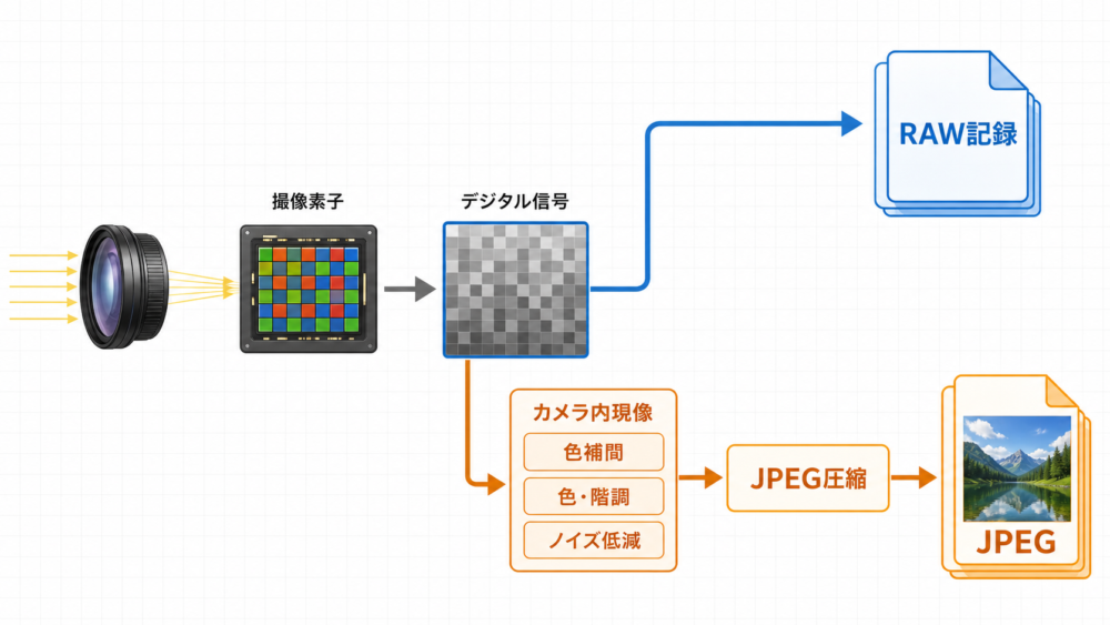 撮像素子の信号からRAW記録とカメラ内現像後のJPEGへ分岐する処理フロー