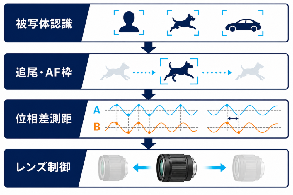 被写体認識と追尾がAF枠を選び、Dual Pixelの位相差測距がずれを測り、レンズ制御が駆動する役割分担
