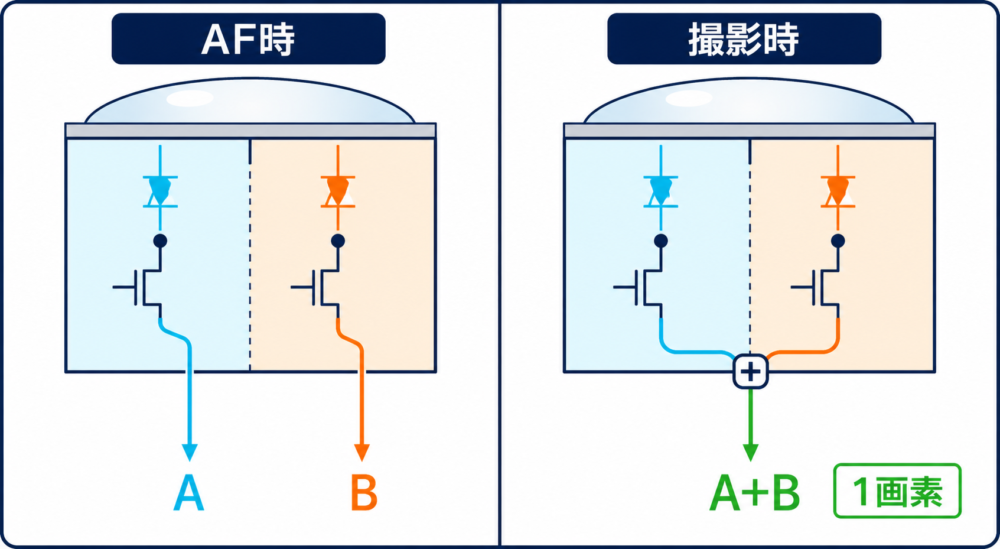 AF時はAとBを別々に読み、撮影時はA+Bを一つの画像画素として出力する読み出しの違い