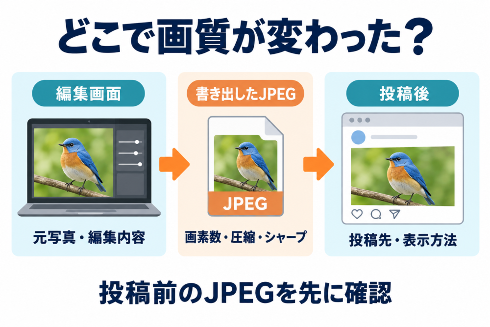 どの段階の画像を確認するのか