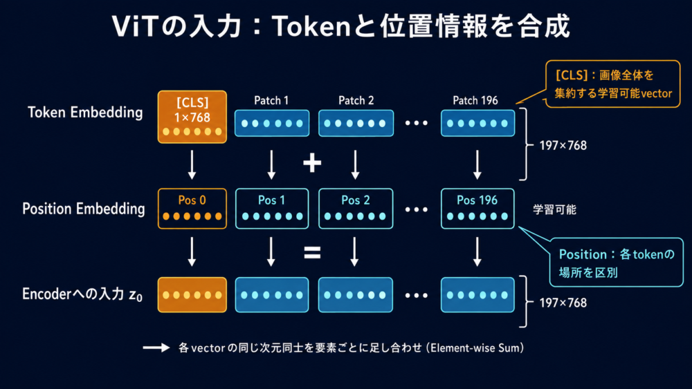 Class TokenとPatch TokenへPosition Embeddingを加えるViT入力sequence
