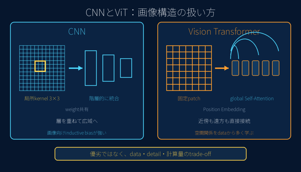 CNNの局所畳み込みとViTのグローバルSelf-Attentionにおける帰納バイアスの比較