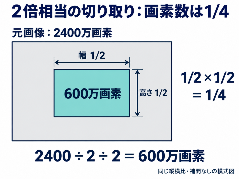 縦横をそれぞれ半分に切り取ると2400万画素から600万画素になる面積図