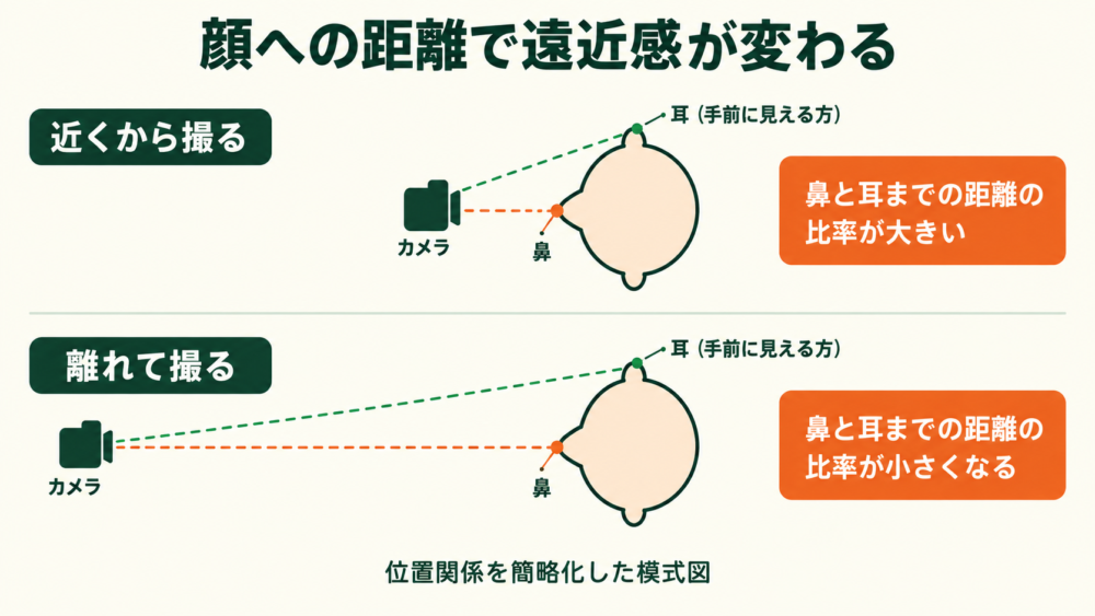 近距離と遠距離で鼻と耳までの距離の比率が変わる模式図