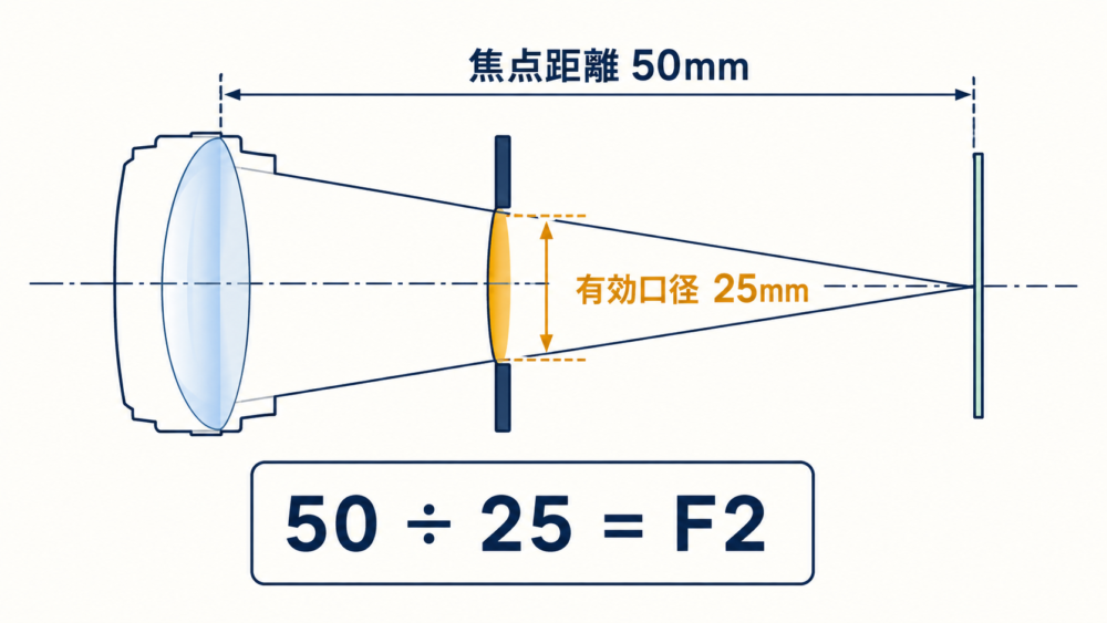 焦点距離50mmを有効口径25mmで割るとF2になる計算図