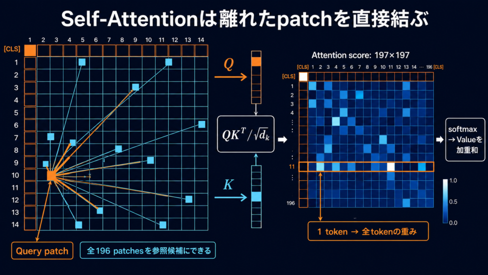 画像グリッド上の一つのパッチが全パッチを参照するViTのSelf-Attention
