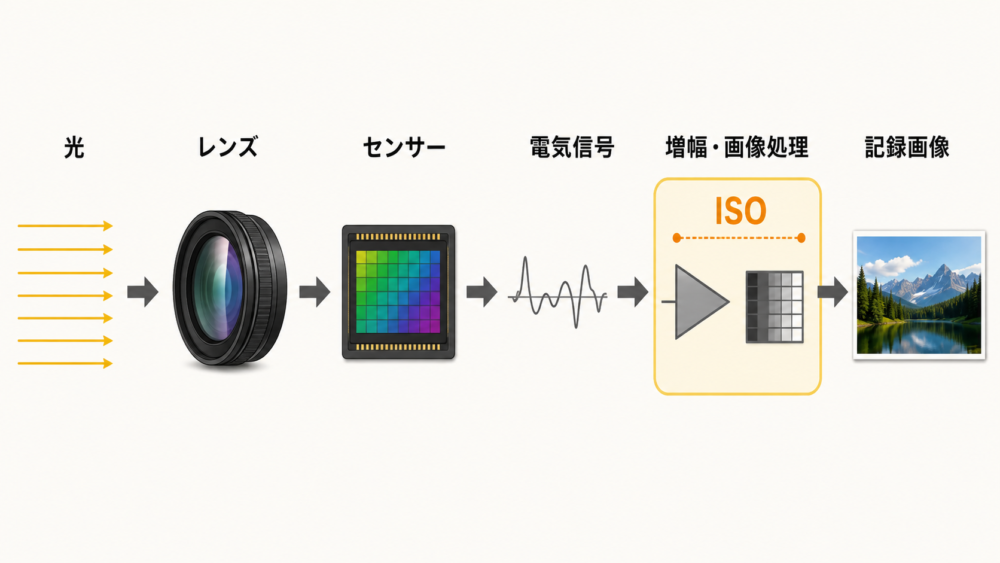 光がセンサー信号になりISOに対応した増幅と画像処理を経て画像になる流れ