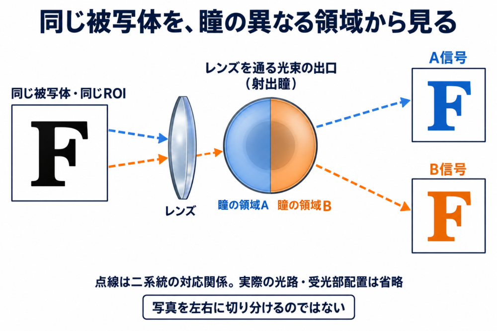 同じ被写体を瞳の異なる領域からAとBの信号として取り出す概念図