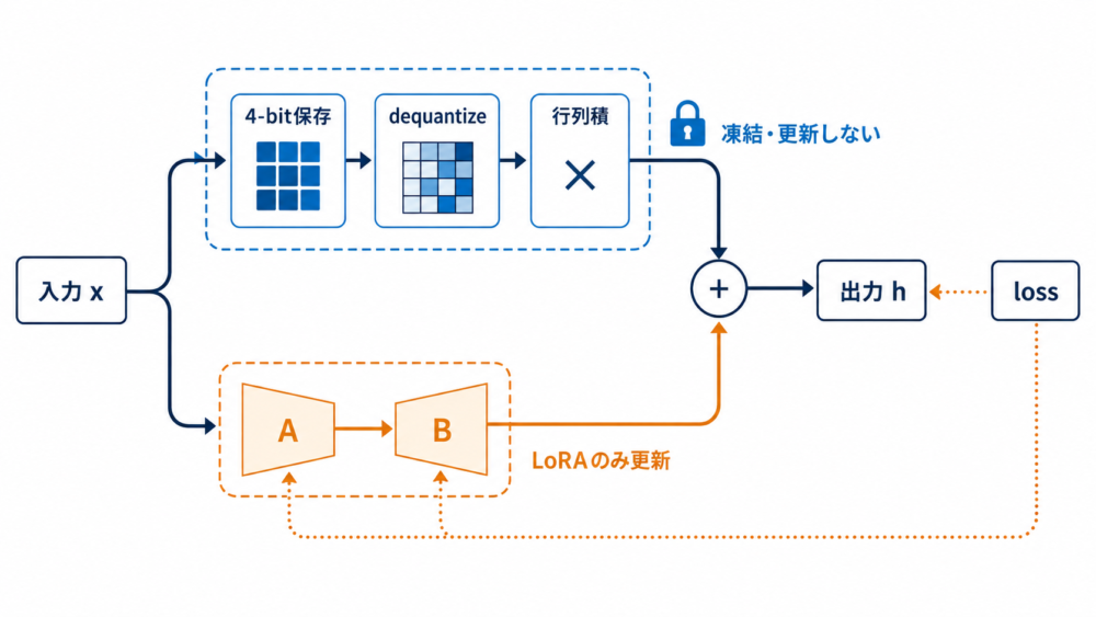 凍結した4-bitベースを通りLoRA adapterだけを更新する勾配経路