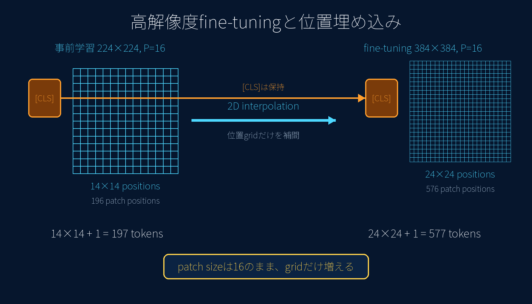 224から384への高解像度fine-tuningで位置埋め込みを二次元補間する流れ