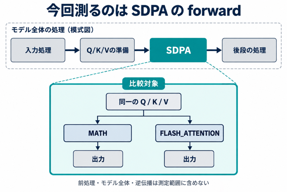 モデル全体のうちSDPAのforwardだけを比較対象とする範囲