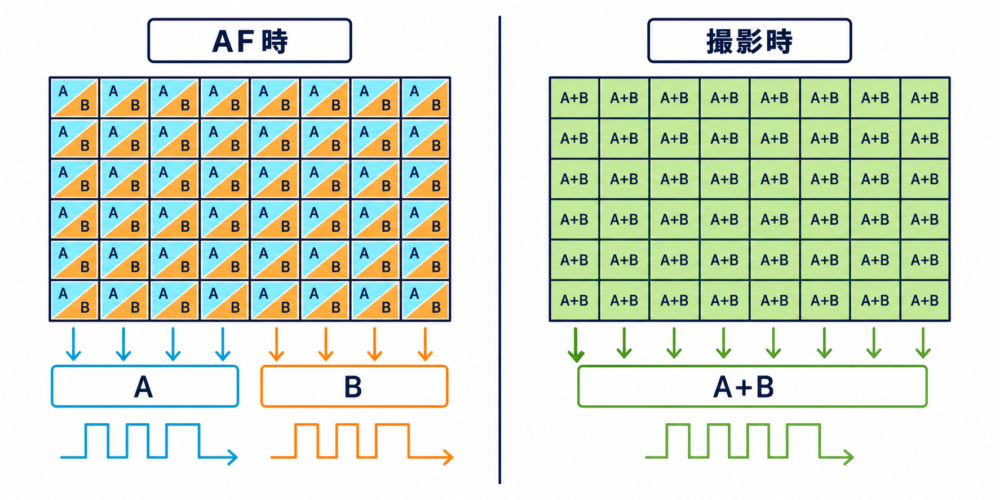 センサー上の多数の画素がAF時は二系統の測距、撮影時は一画素の画像記録を担うイメージ