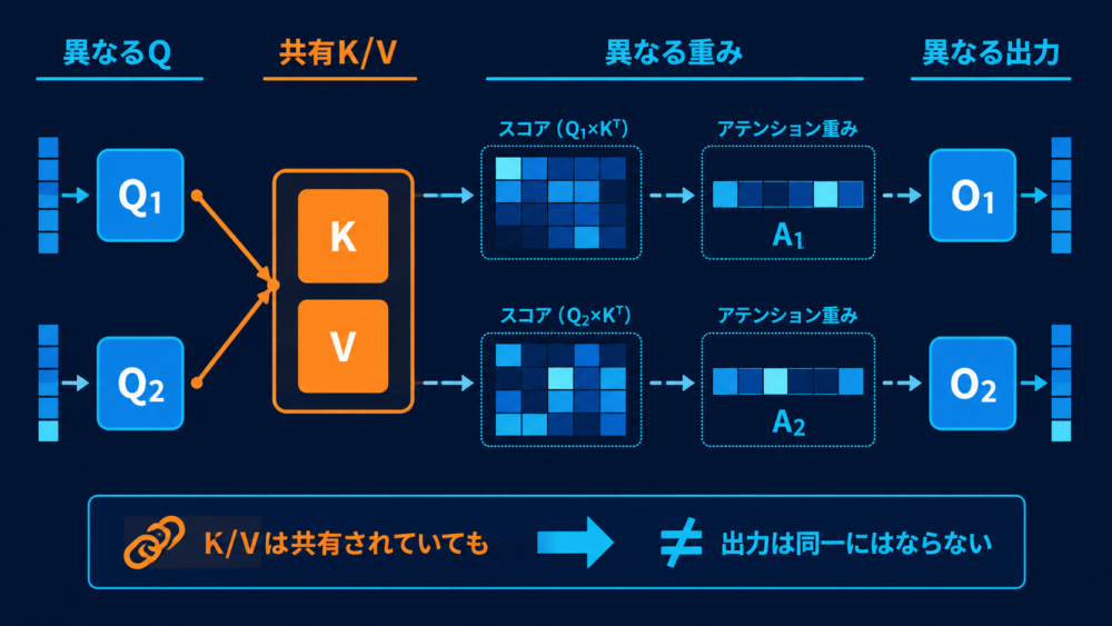 2つのQuery headが同じK/Vを参照しても異なるscoreとattention weightから別の出力を得る図