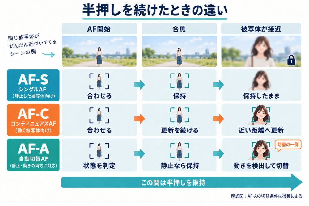 AF-Sは保持、AF-Cは更新、AF-Aは動きを判定して切り替える時系列