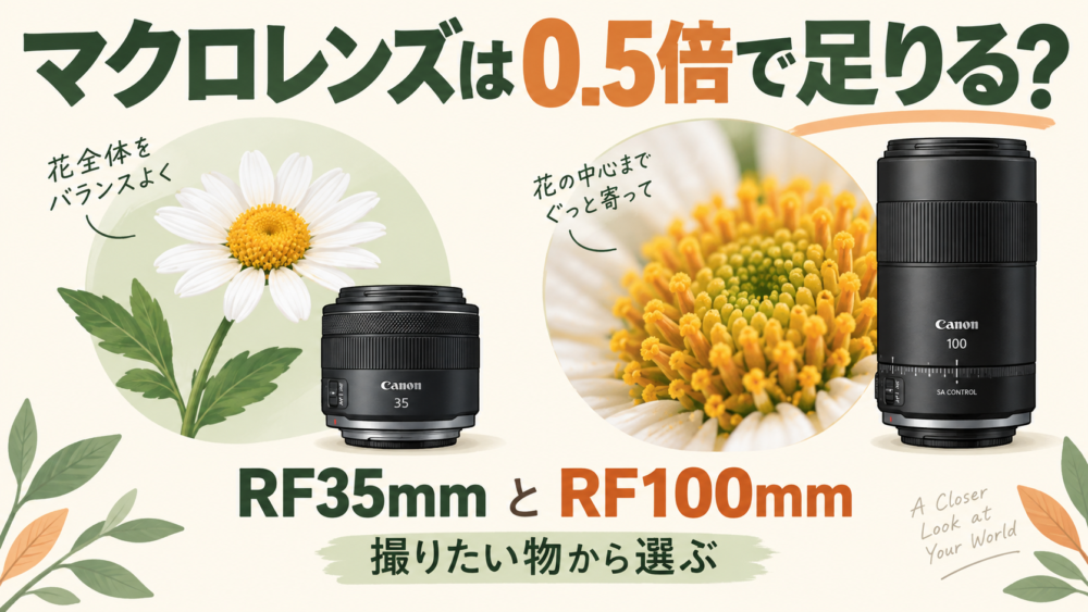 RF35mmとRF100mmを撮りたい物から選ぶイメージ