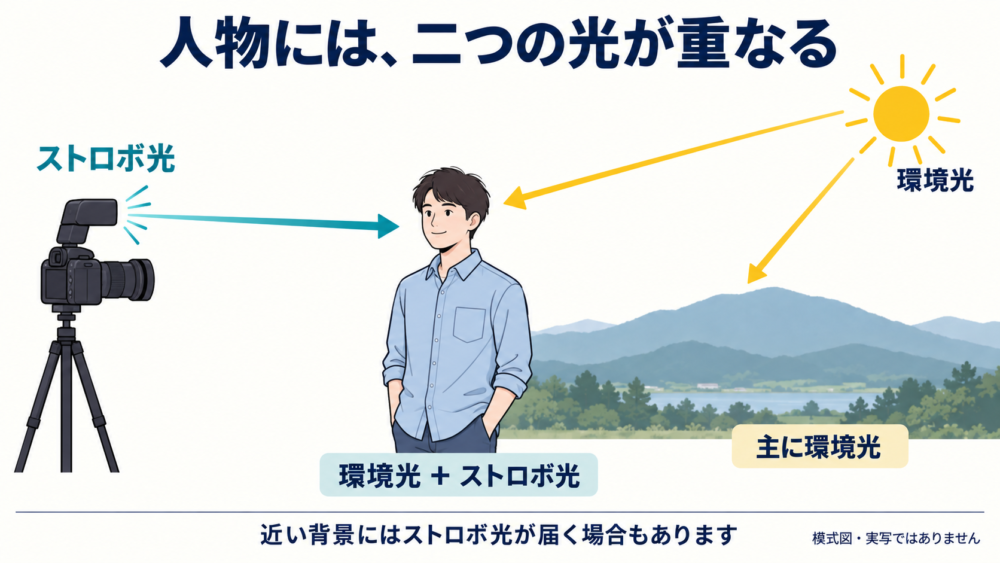 遠い背景は主に環境光、近い人物には環境光とストロボ光が重なる模式図
