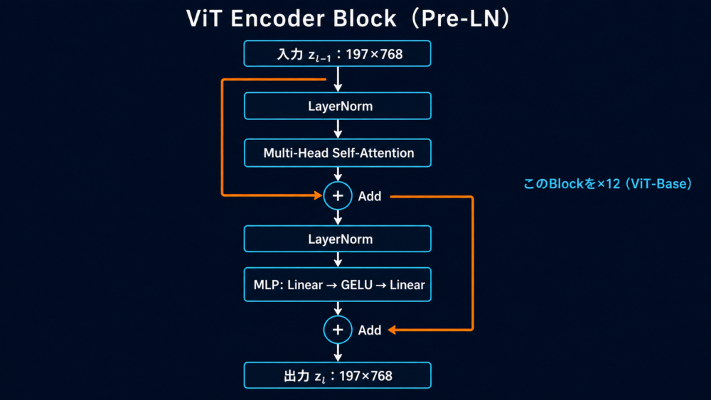 LayerNorm、Multi-Head Self-Attention、MLP、残差接続からなるViT Encoder block