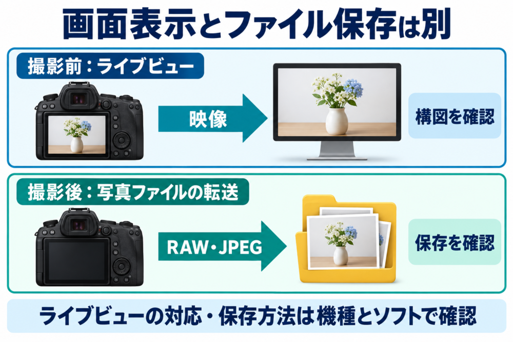 撮影前のライブビュー映像と、撮影後にPCへ転送する写真ファイルの違い