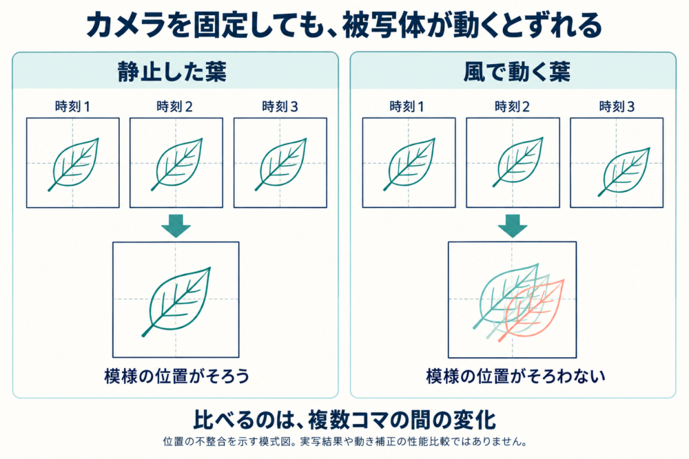 カメラを固定しても葉がコマ間で動くと、合成する模様の位置がそろわなくなる概念図